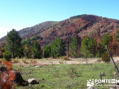 Castañar de la Sierra de San Vicente - Convento del Piélago;rutas y senderos;singles madrid con ni